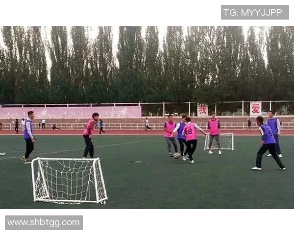 北京排球队选拔赛表现分析耐力与团队协作的关键因素探讨