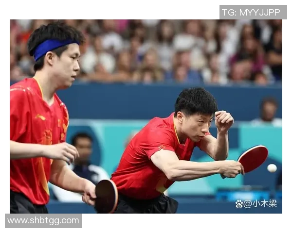 北京乒乓球队的奋斗历程与荣耀时刻全景纪实